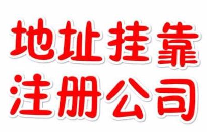 代理記賬一年800元，記賬會(huì)計(jì)代理